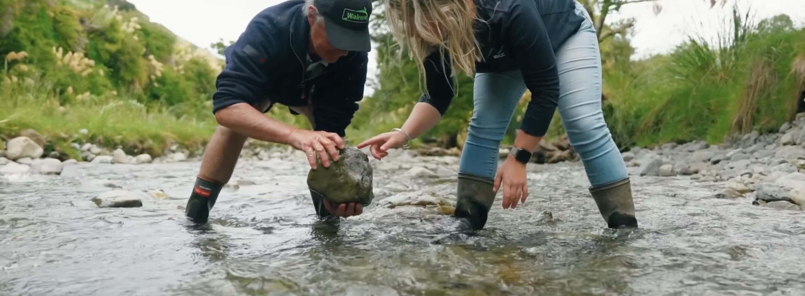 RRCC - Banner - Contact