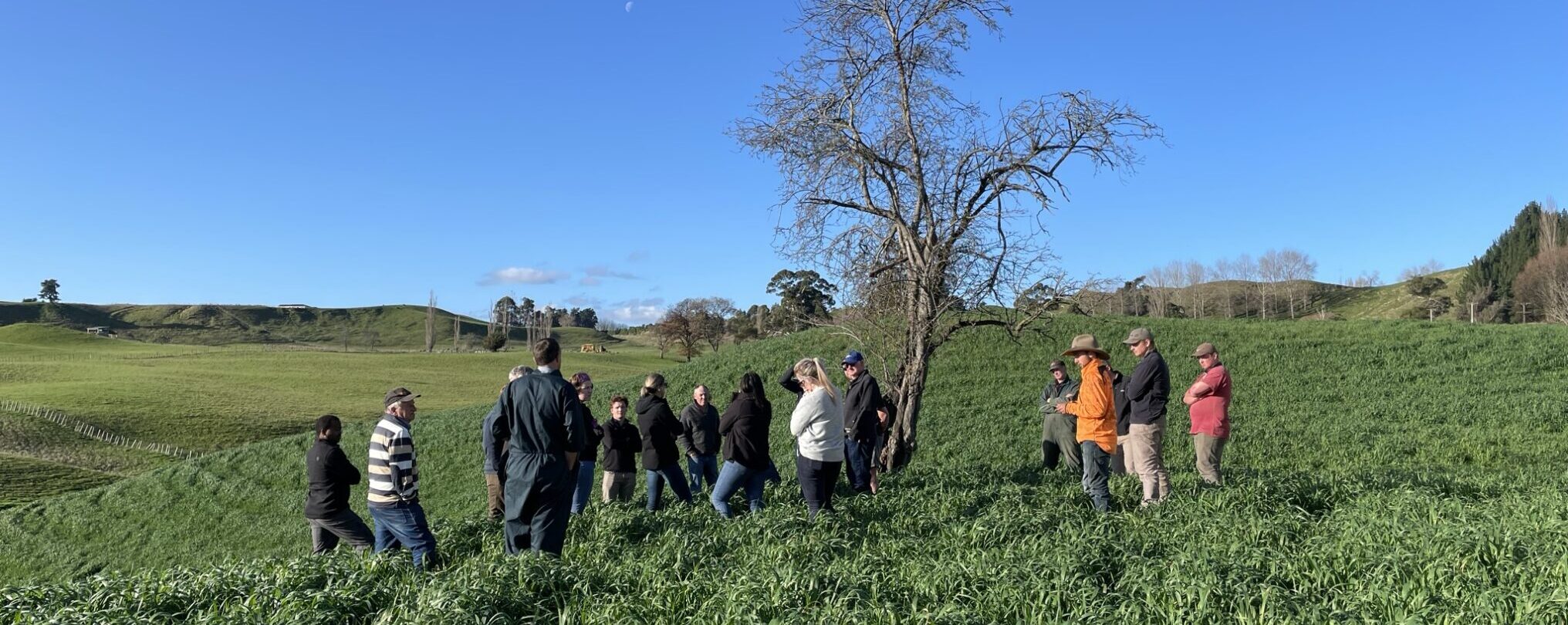 The Rangitīkei Rivers Catchment Collective